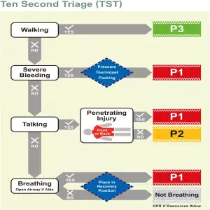 Ten Second Triage